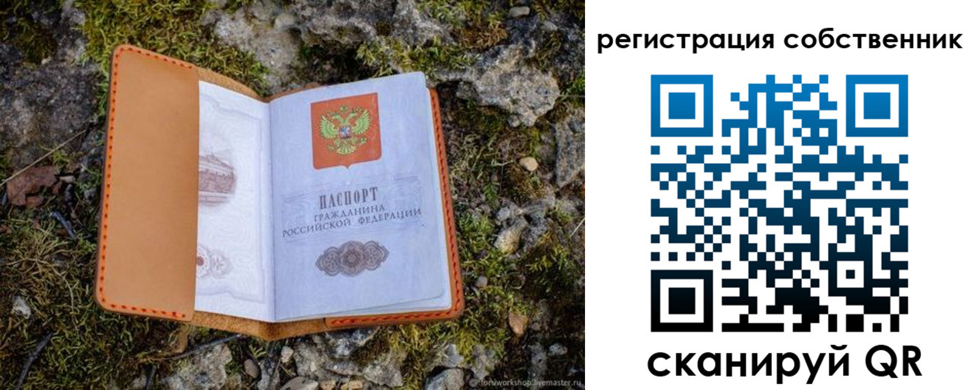 прописка поиск в Ельне